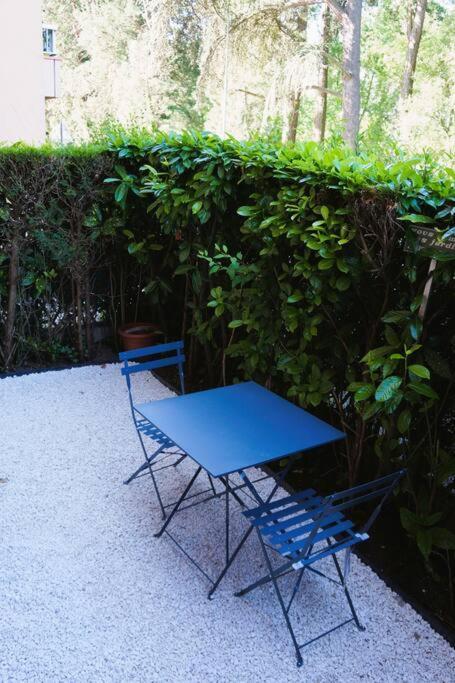 Studio Climatise Et Spacieux Situe Pres Des Parcs Vichy Exterior foto